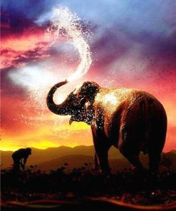 Elephant Sunset Paint By Numbers