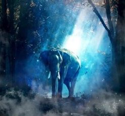 Elephant Twilight Forest Paint By Numbers