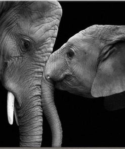 Elephants Black and White Paint By Numbers