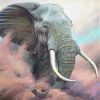 Elephants In Sand Paint By Numbers