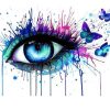 Eye And Butterfly Paint By Numbers