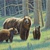 Family Black Bears Paint By Numbers