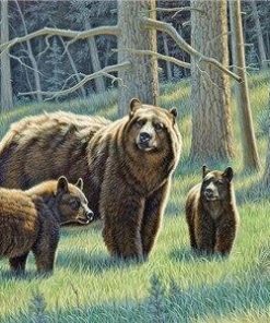 Family Black Bears Paint By Numbers