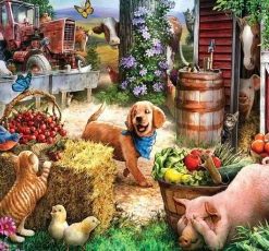 Farm Adorable Animals Paint By Numbers