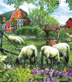 Farm Sheep Paint By Numbers