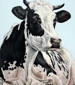 Fat Cow Paint By Numbers