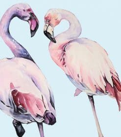 Female Flamingos Paint By Numbers