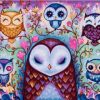 Female Owls Paint By Numbers