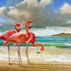 Flamingo At Beach Paint By Numbers