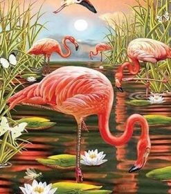 Flamingo in Swamp Paint By Numbers