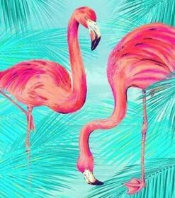 Flamingos Paint By Numbers
