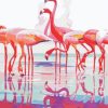 Flamingos on Water Paint By Numbers