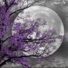 Flower Tree Moon Paint By Numbers
