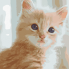 Fluffy Tabby Kitten Paint By Numbers