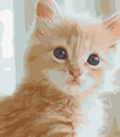 Fluffy Tabby Kitten Paint By Numbers