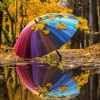 Forest Colorful Umbrella Paint By Numbers