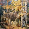 Forest Deer Paint by numbers