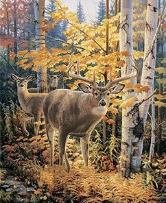 Forest Deer Paint by numbers