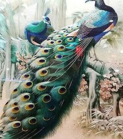 Forest Peacock Paint By Numbers