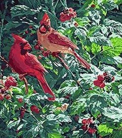 Forest Red Birds Paint By Numbers