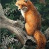 Fox Animal Paint By Numbers