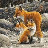 Fox Family Paint By Numbers