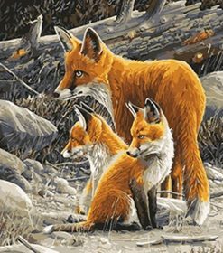Fox Family Paint By Numbers