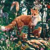 Fox Of Jungle Paint By Numbers