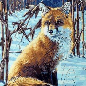 Fox in the Snow Paint By Numbers