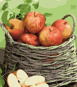 French Apples Paint By Numbers