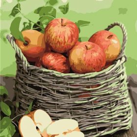 French Apples Paint By Numbers