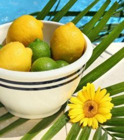 Fresh Lemon Flowers Paint By Numbers