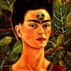 Frida Kahlo Art Paint By Numbers