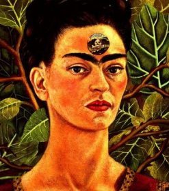 Frida Kahlo Art Paint By Numbers