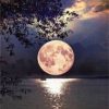Full Moon on Lake Paint By Numbers