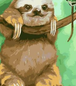 Funny Sloth Paint By Numbers