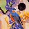 Garden Bluebirds Paint By Numbers