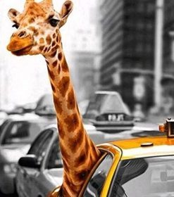 Giraffe in Taxi Paint By Numbers