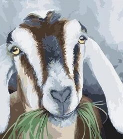 Goat Eat Grass Paint By Numbers