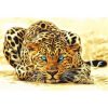 Gorgeous Leopard Paint By Numbers