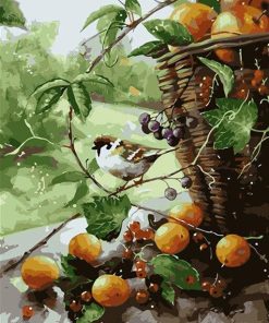 Grapefruit Bird paint by numbers