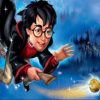 Harry Potter On Broom Paint By Numbers