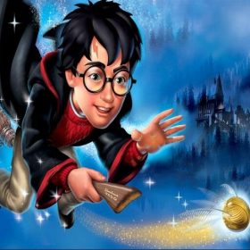 Harry Potter On Broom Paint By Numbers