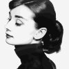 Hepburn in Black Painting by numbers
