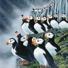 Horned Puffin Paint By Numbers