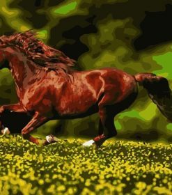 Horse Running Paint By Numbers