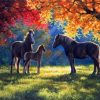 Horse Under Autumn Tree Paint By Numbers