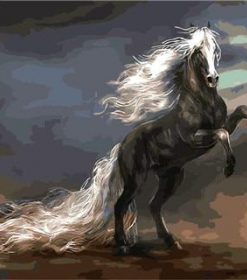 Horse With White Hair Paint By Numbers
