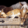 Horse and Cat Paint by numbers