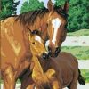 Horse and Foal Paint by numbers